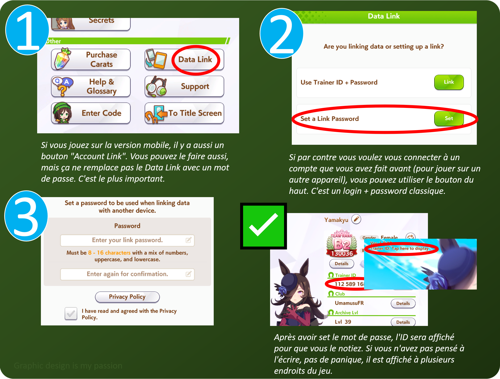 Indication en 4 étapes pour mettre un mot de passe sur son compte. Cliquer sur le bouton Data Link, puis Set a Link Password, puis entrer le mot de passe désiré correctement 2 fois
