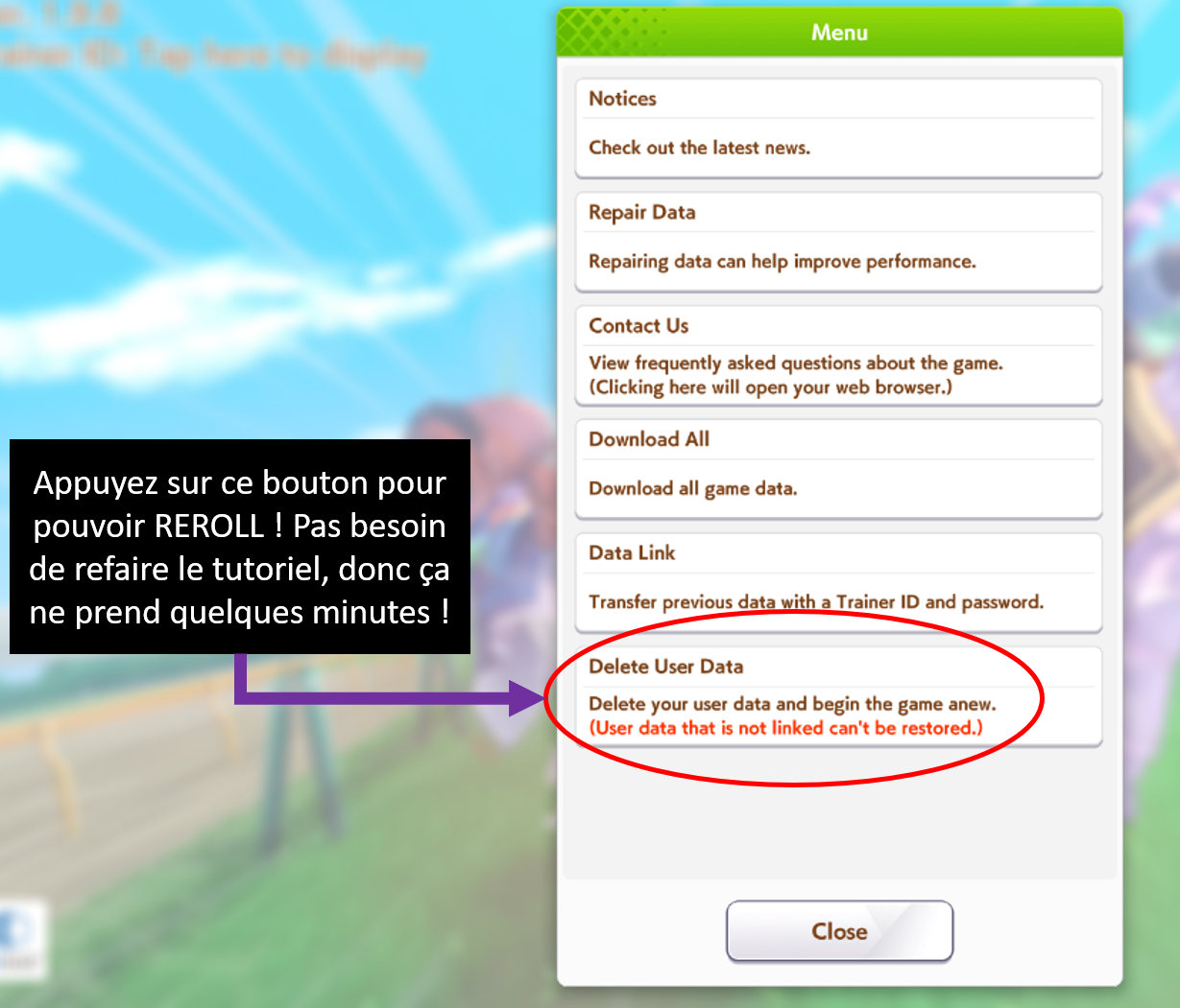 Emplacement du bouton Delete User Data permettant de reroll très rapidement